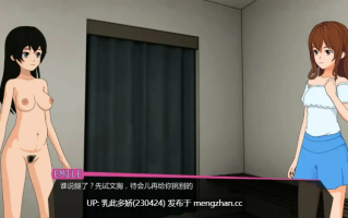 13【SLGAI汉化2D】【更新】修复者v0.3.4.18 AI汉化版【PC450M】