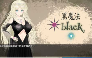 《苍魔导士Luna ~ 天才魔导士&传说中的魔武士》[蒼魔導士ルー～天才魔導士と伝説の魔導士～]【电脑游戏】