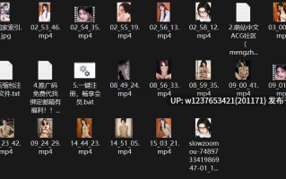 明星AI脱衣系列：图生短视频口交/颜射/乳交-鞠婧祎/周也特辑【211M】