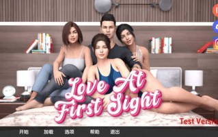 [更新]【欧美SLG/动态/汉化】一见钟情（Love at First Sight）V0.1 汉化中文【PC+安卓-2G】