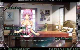 新汉化[日式SLG/动态] 少女异种间狱～魔法少女&精灵公主、与兽人一起度过的异世界性生活～ 少女異種間獄 ～魔法少女&エルフ姫、オークと過ごす異世界性活～ AI汉化版+全CG存档 [3.60G]