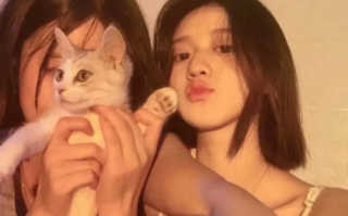 猎艳都市 [音频:22+918.9MB][百度盘]