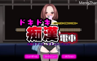 PC-DL11月新作【互/偷摸触摸】心动痴汉电车V1.1AI汉化+动画 [1+1.40G][百度盘]