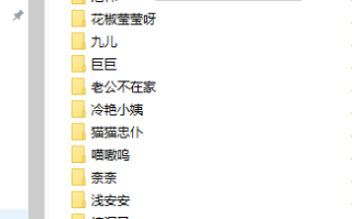 【巨乳精选】推特超爽大奶【鱼鱼子】私人定制【12V】