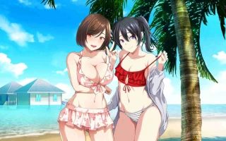 【日系ADV官中后宫PC】 ChaosBeach 群女乱滩齐斗艳处男撒香引爆春潮海滩 オンナが群がるカオスビーチ　フェロモンをまき散らす童貞男が練り歩く！ Ver1.0 官方中文版【1.64G】