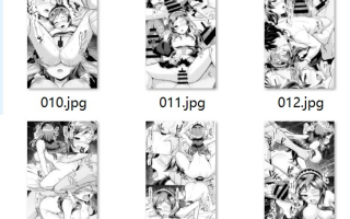 【汉化/26P】一夜