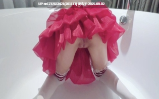 【度盘】广深贝贝 推特合集 321P+16V-652M