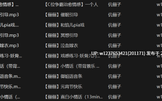 伉俪子中文音声小合集+唱歌+舔耳【1.7G】