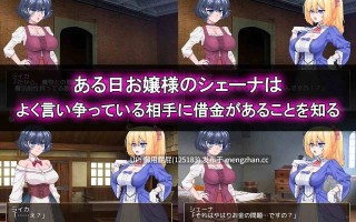 [日式SLG/存档/新作] 与双性人千金小姐的秘密交易 ふたなりお嬢様との秘密取引 v2025.11.05 AI汉化版+存档 [960M]