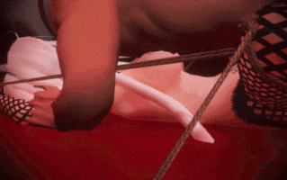 性奴母狗光辉和主人罪袋的sm欢爱日常♡