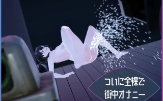 PC-Exhibitionist Observer ～露出魔監視