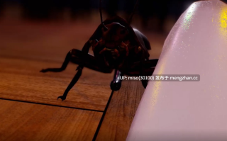 6.- Firefly - Insect Breeding []