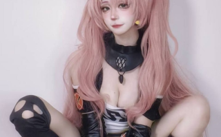 48极品御姐Coser巨反差【虎皮折耳猫】 私拍合集 39P17V