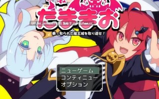 【PC/RPG/汉化】RJ180110 玉魔王~魔王城夺回大作战～ [ルクスソフト]