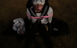 29 ❤️小母狗调教❤️小萝莉被主人戴上项圈狗链户外调教 [1V+778.25MB]