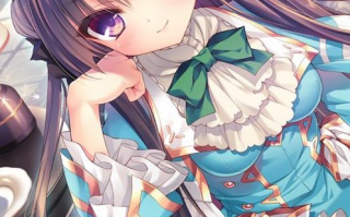 【日式/ADV/精翻/汉化】 忘却執事と恋するお嬢様の回想録[枫笛汉化组][附汉化补丁+全CG存档] 【700M全CV】【序号1876】