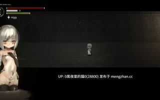 【PC/ACT/官中/黑暗中世纪风格】Fia's Adenture