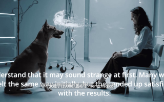 [SLG汉化PC动态兽X步兵] [SHADOWMASTER] 如何训练你的狗 第3集 v1.0 How to Train Your Dog Ep3 v1.0[萌站植入][2.81G]