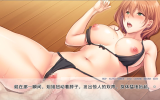 【PC端】堕落的义姐 ~我一直仰慕着的义姐被同班同学调教【ADV】【1.2GB】【简体中文】