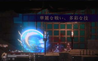 PC/ACT/圣骑士复仇之夜 #聖騎士復讐の夜 官方中文版【2024年12月27日0点 发售】