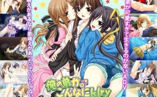 PC/ADV/俺の弟がこんなにk/汉化版