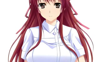 【日系ADV拔作/汉化/后宫】夜袭而来的七人孕女 夜這いする七人の孕女 The Motion 汉化内嵌版【2.84G】