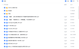 台北娜娜，4K全套86部 [1v+465G][磁力链接]