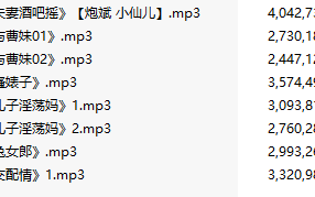 【激情骚麦/8部合一】【MP3版】【中文】【009-017】