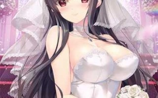 PC/Lcha Icha Steady イチャ×2スタディ/官方中文版+纯爱