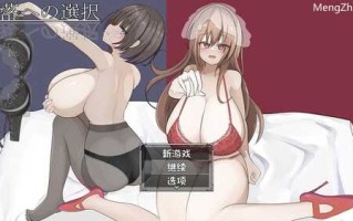 PC/RPG/堕落的选择  #堕落への選択  内置汉化+存档