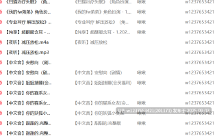 晚晚biu中文音声合集【8.86G】