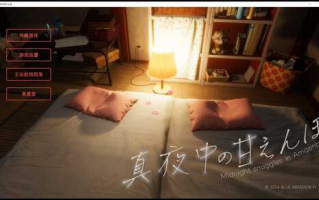 正经的深夜【个人精翻】