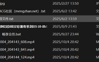 网易cc巨乳【妃儿baby】新增情趣内衣抖奶骚舞定制【3v867m】