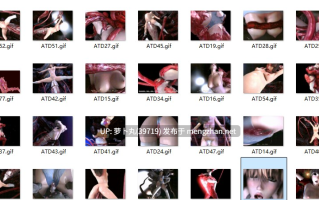 【动漫GIF/萌盘】Gif(ATD)