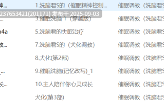 洗脑君S中文音声合集【318M】