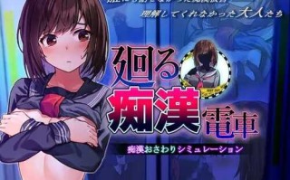 PC/SLG/ 旋转痴汉电车/频道汉化版