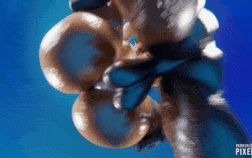 【1K/无修】新作-Pixel3D 8月新作-艾达王+丽奈+神奇女侠