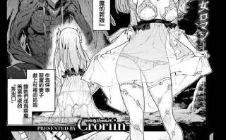 【汉化单行本】ヤリこみクロニクル～異種族性交記～【百度/430M】