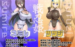 【SLG/AI汉化/PC】恶稼业对战忍姬 悪稼業対戦忍姫【1G】