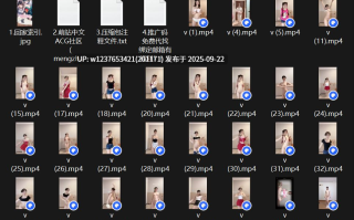 裸舞天花板【以安】一字马 顶胯 私处特写合集【201V/14G】