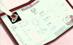 【老番新看/生肉】幻夢館～愛慾與凌辱的淫罪～ 1