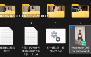 明星美女AI脱衣系列：全明星替换抖舞、卡点舞【1V+682M】