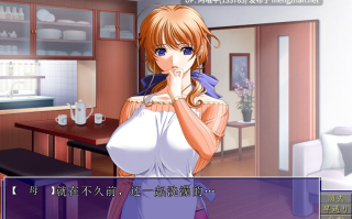 【日系/ADV/汉化】 双子母性本能 The アニメ【2.02G】【序号4434】