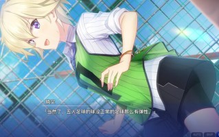 告别回忆 双想 ～官方中文版+DLC【2025.4.9 发售】(F61)