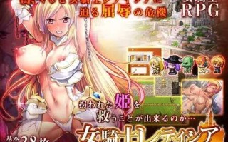 [PC/安卓RPG游戏] 【RPG/精翻/羞耻】女骑士蕾蒂西亚/女騎士レティシア