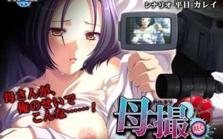 PC/ADV/母亲记录～逐渐堕落的母亲影像～/AI汉化