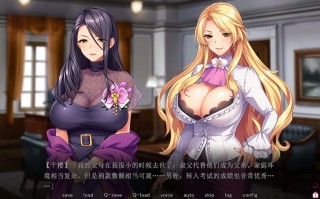 PC/[ADV]  汉化版  圣奴隶学园2    聖奴隷学園2 