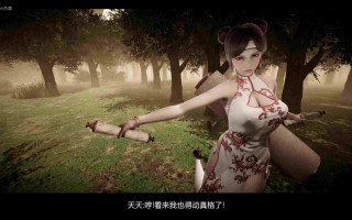 3D火影忍者之木业沦陷6