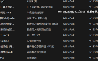 KalinaPark中文音声合集【809M】