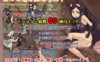 【PC/爆款/ACT/动态/魔物娘/异种奸】flowerwitch【共170M】【官方中文】